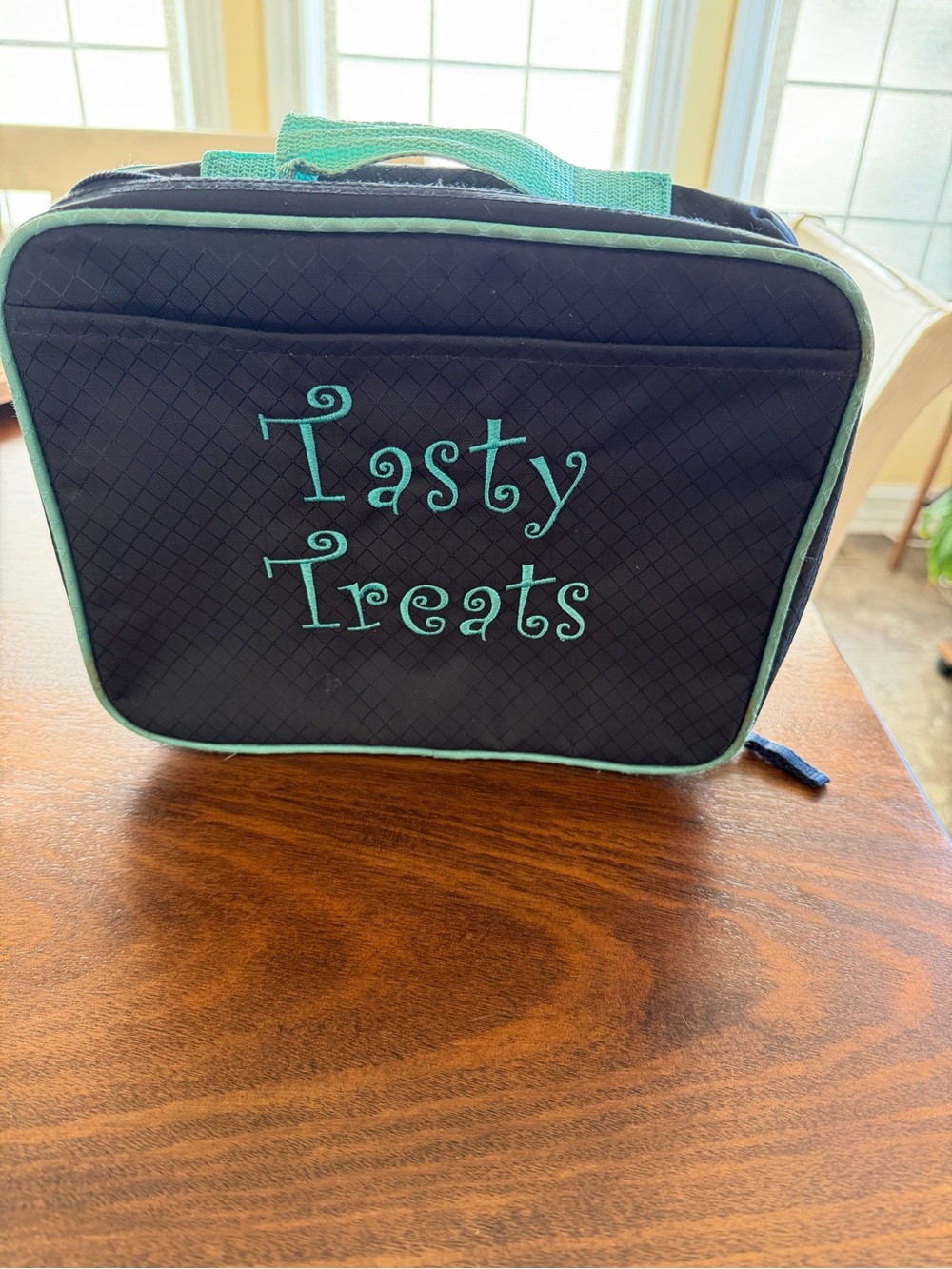Thirty-One Cool Case Thermal Bag for Lunch/Snacks